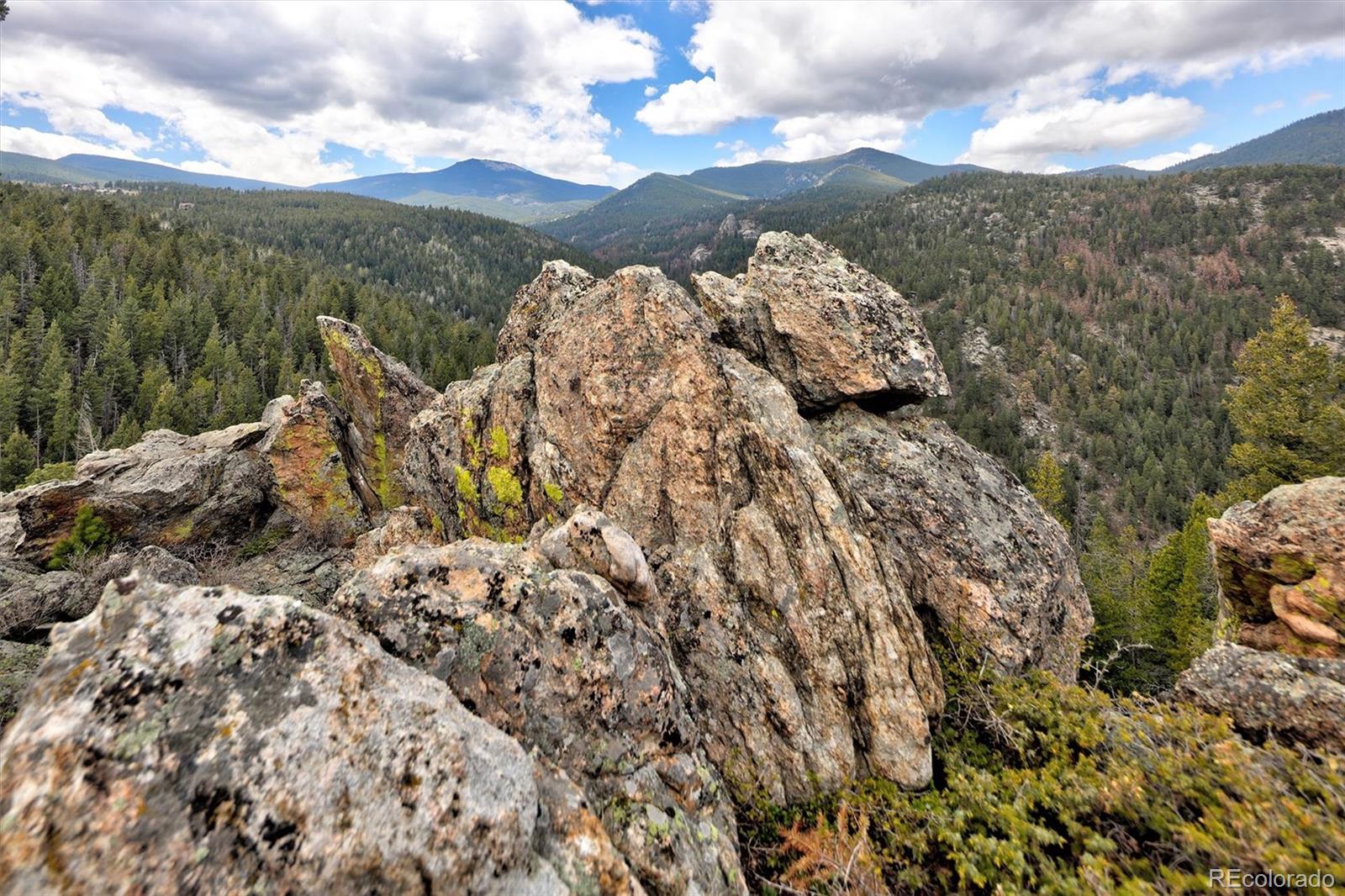 263 Barrows Ranch Road Evergreen CO 80439