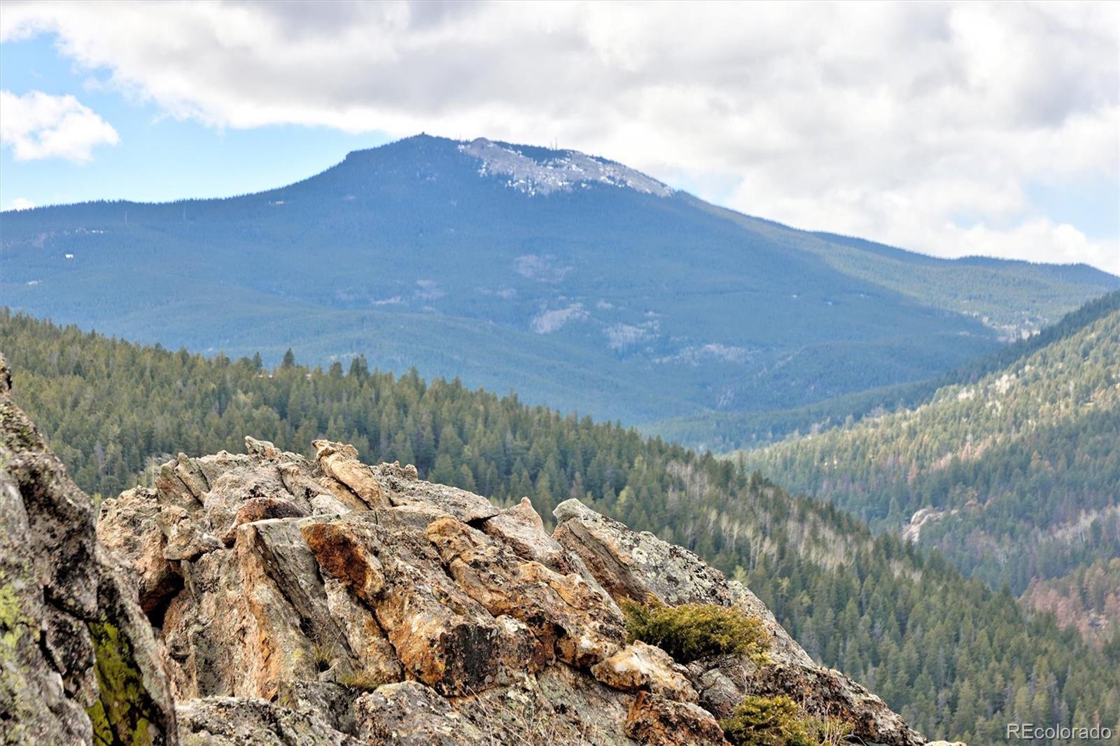 263 Barrows Ranch Road Evergreen CO 80439