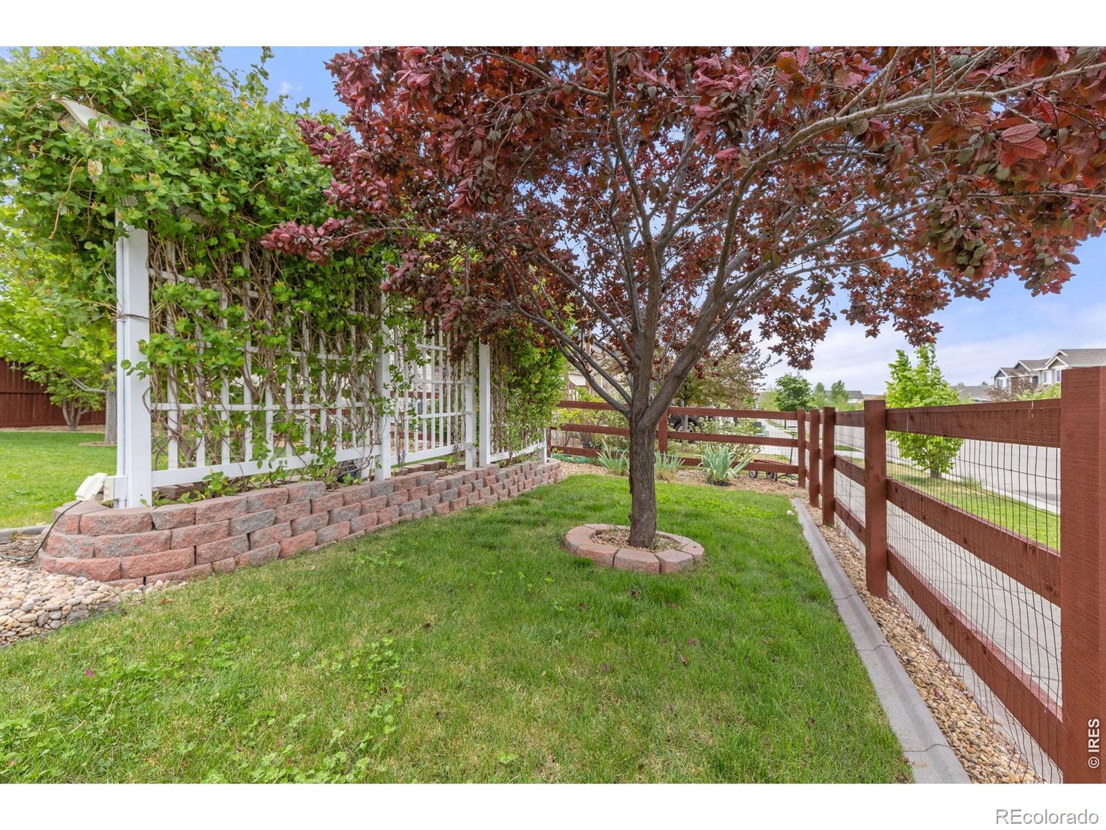 1531 New Season Drive Windsor CO 80550