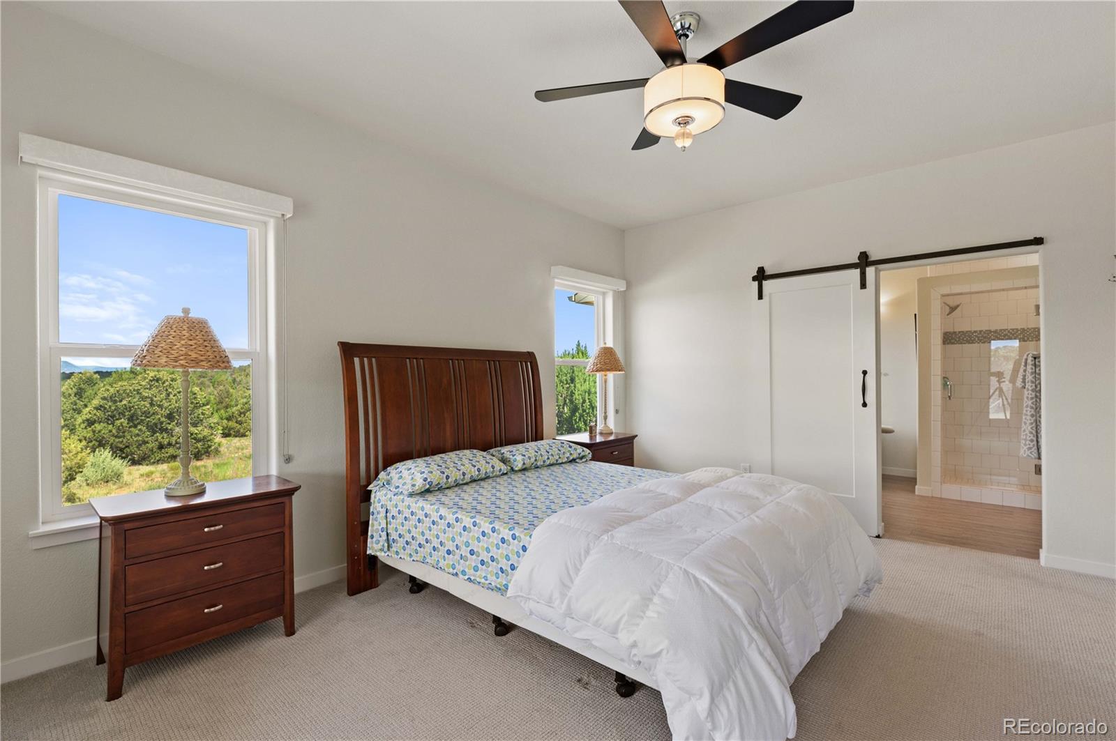 410 Rodeo Drive Walsenburg CO 81089
