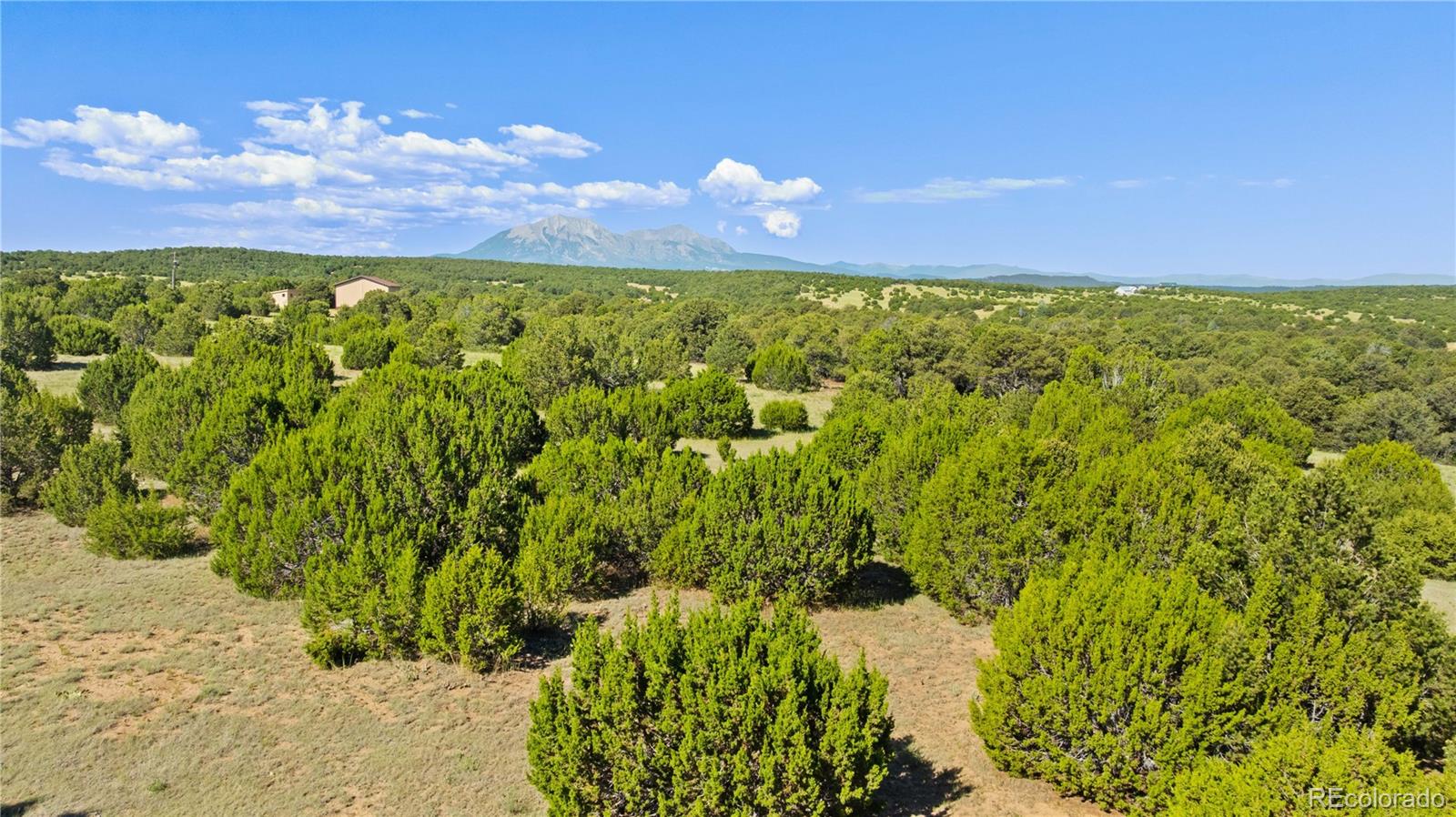 410 Rodeo Drive Walsenburg CO 81089