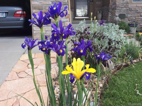 6770 S Fultondale Court Aurora CO 80016