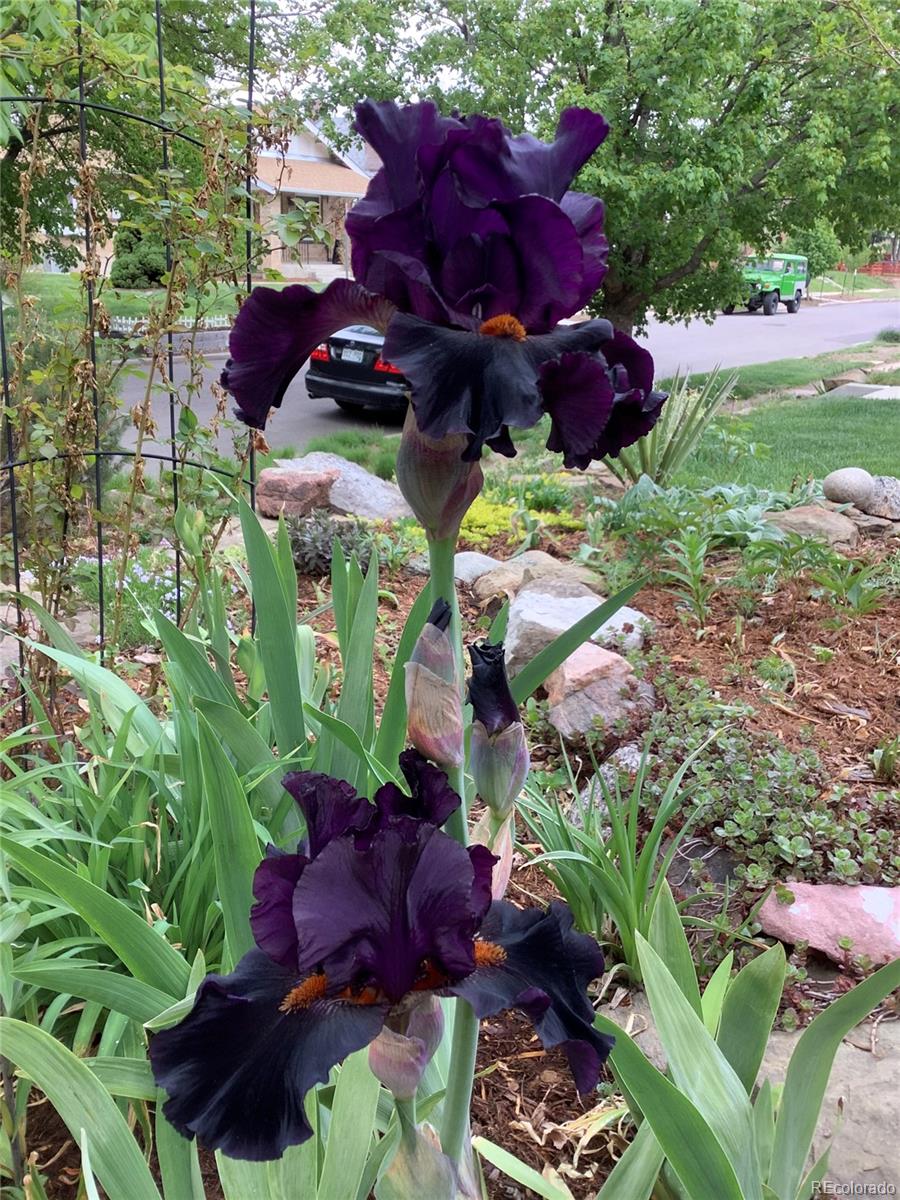 3920 N Quitman Street Denver CO 80212