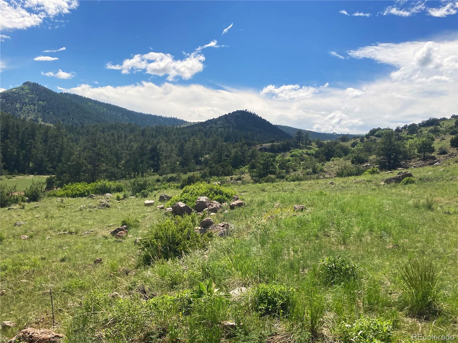 6101 Tallahassee Trail Canon City CO 81212