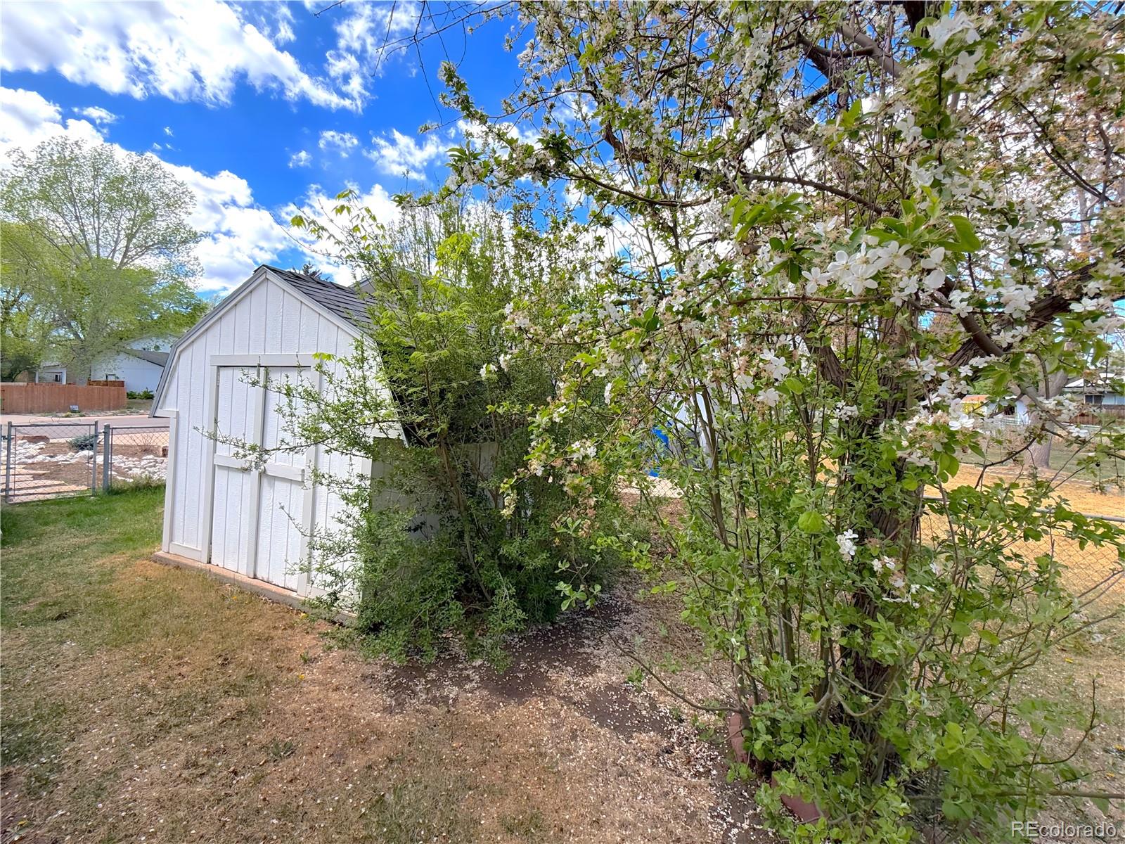 3032 Tulane Drive Fort Collins CO 80525