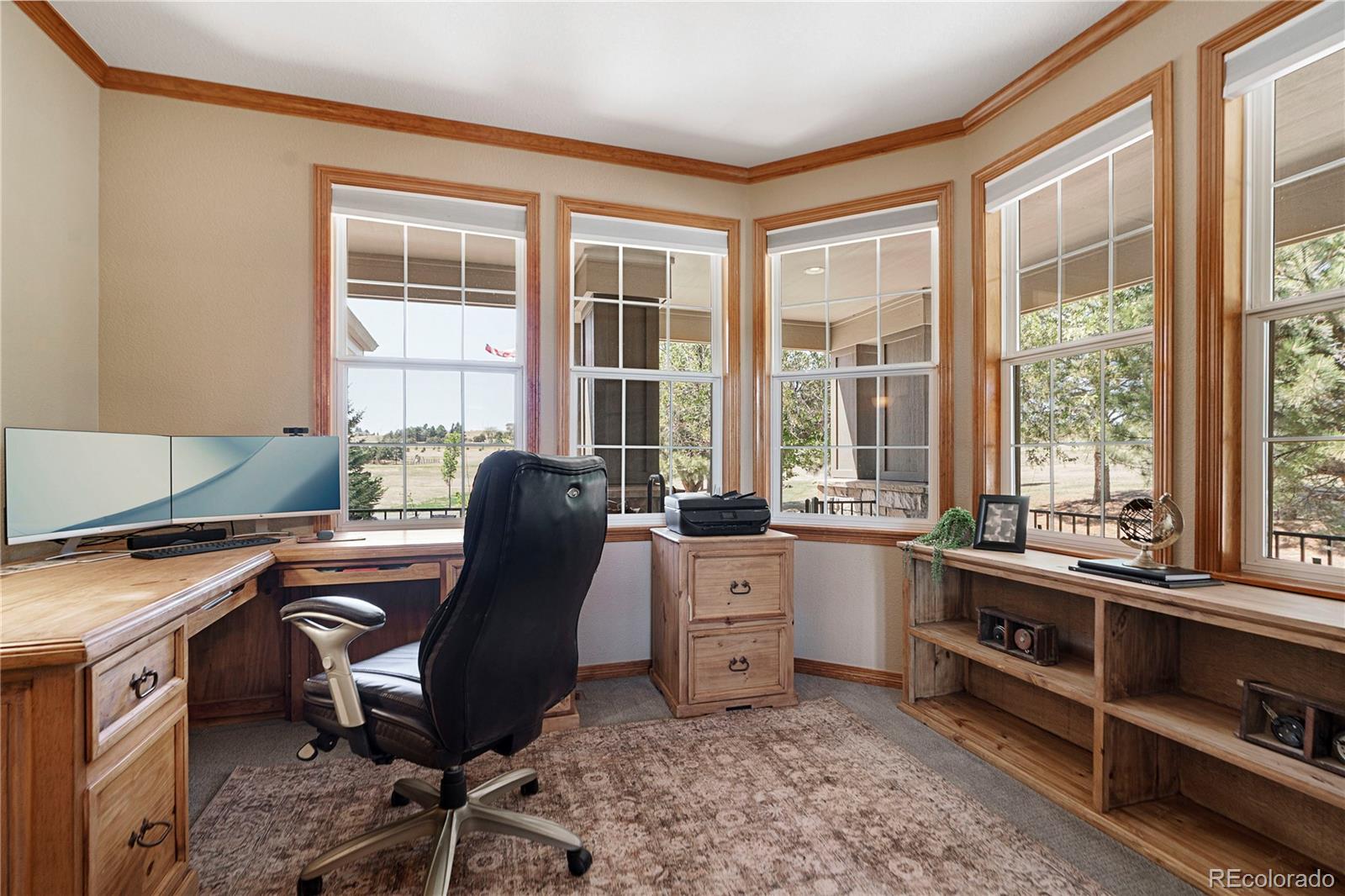 47098 Frasier Fir Circle Parker CO 80138