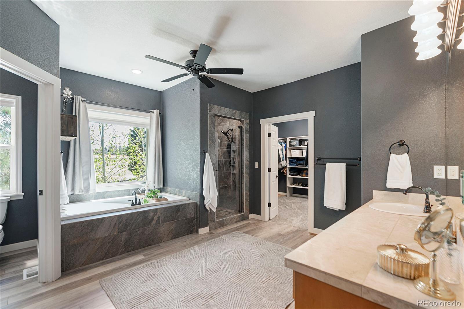 47098 Frasier Fir Circle Parker CO 80138