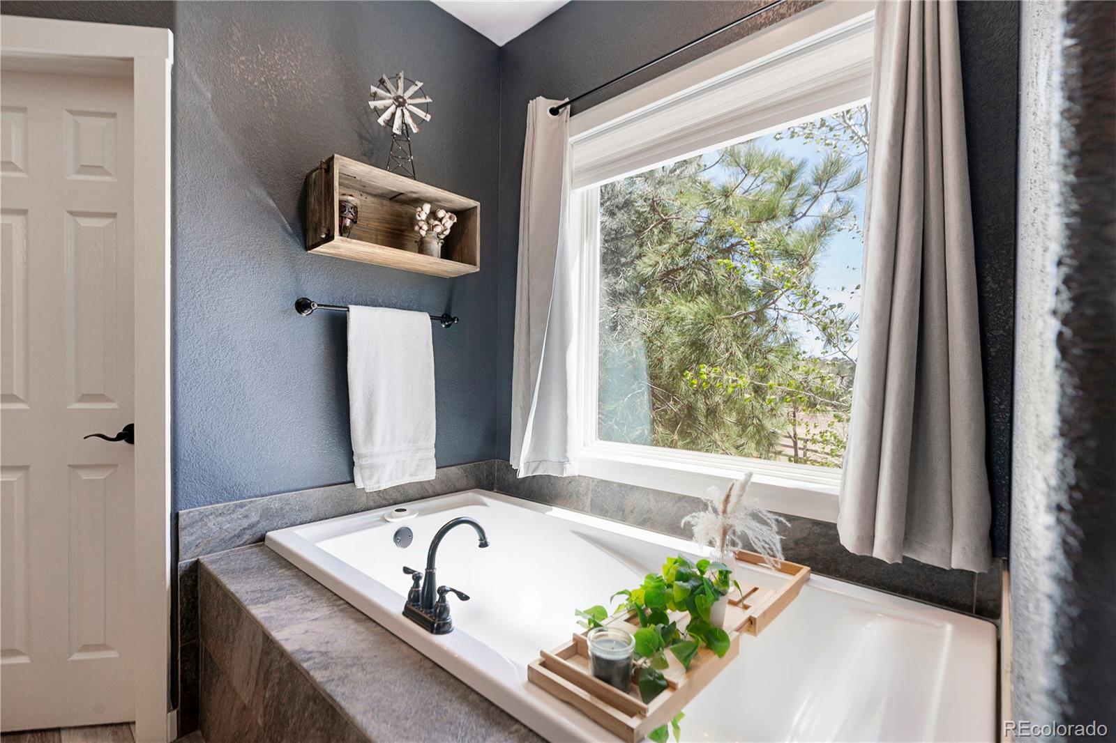 47098 Frasier Fir Circle Parker CO 80138