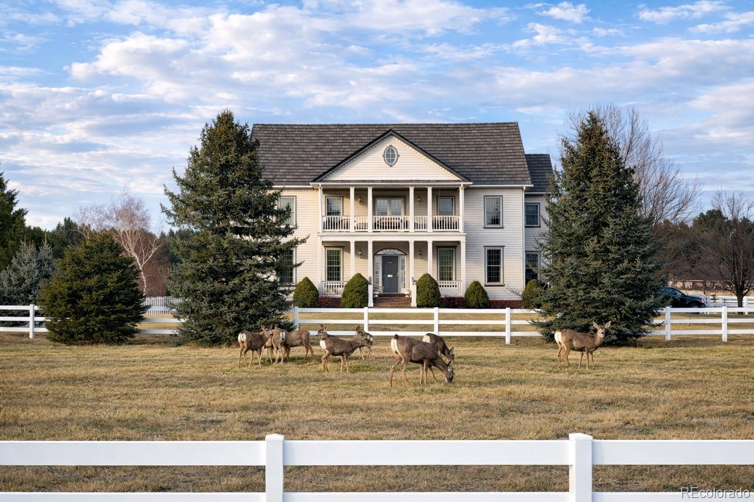 458 Grey Squirrel Way Franktown CO 80116