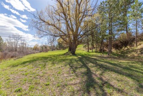 721 Forest View Road Monument CO 80132