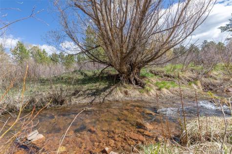721 Forest View Road Monument CO 80132