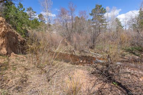 721 Forest View Road Monument CO 80132