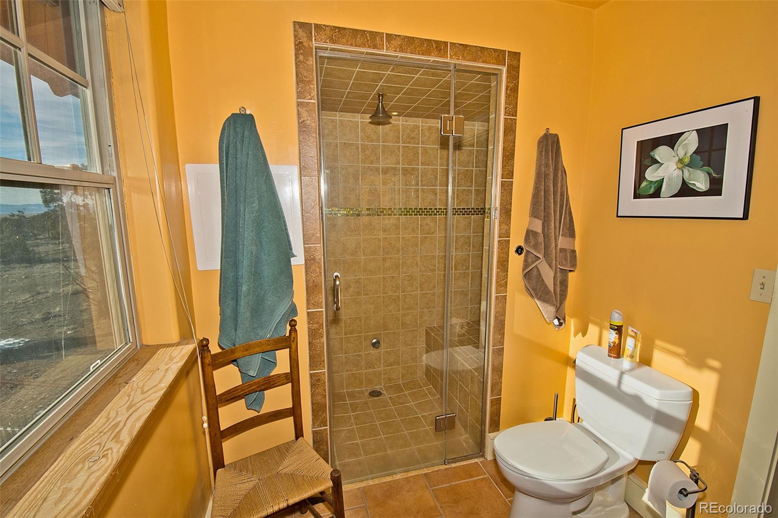 1552 Camino Real Crestone CO 81131