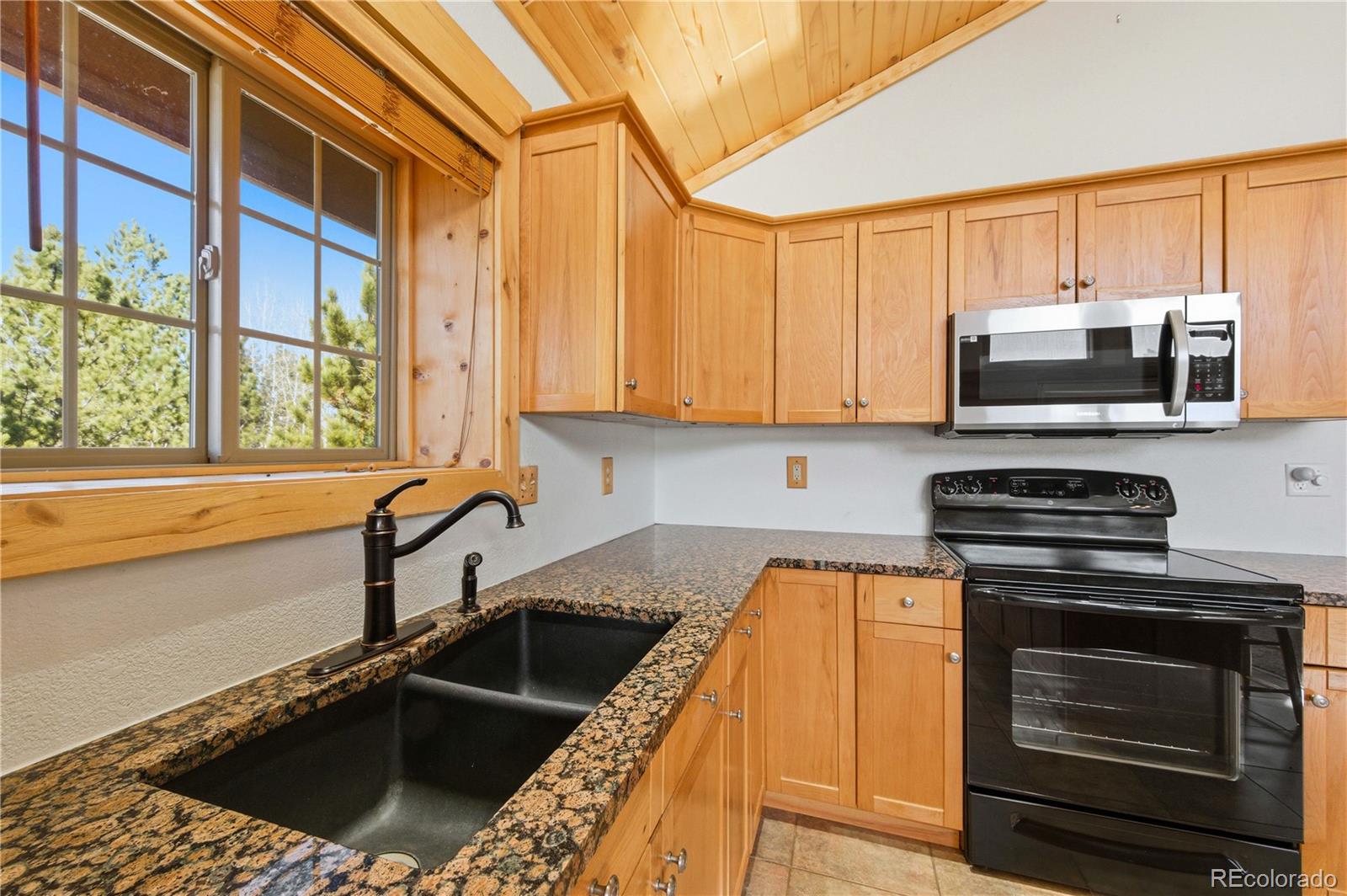 73 Big Horn Lane Florissant CO 80816