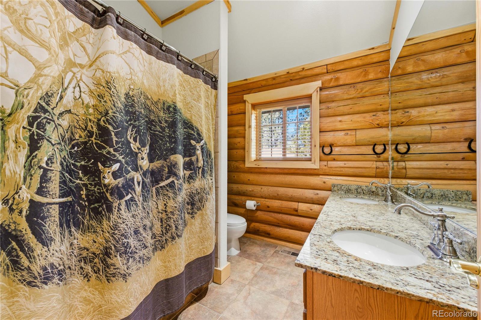 73 Big Horn Lane Florissant CO 80816