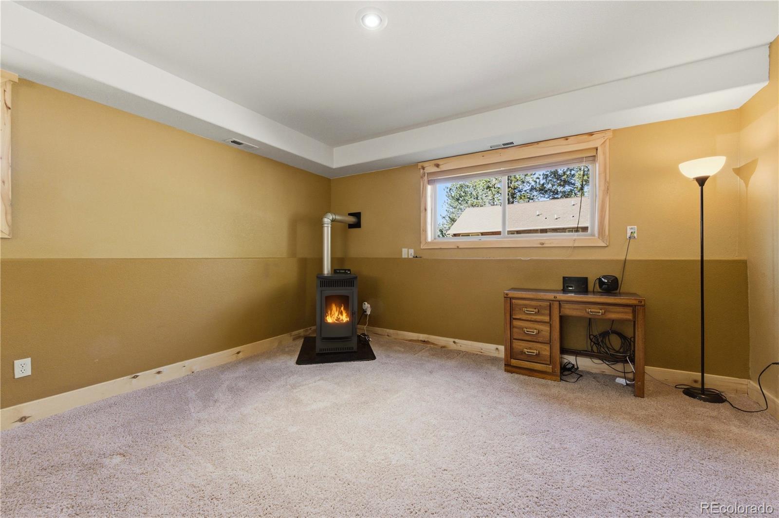 73 Big Horn Lane Florissant CO 80816