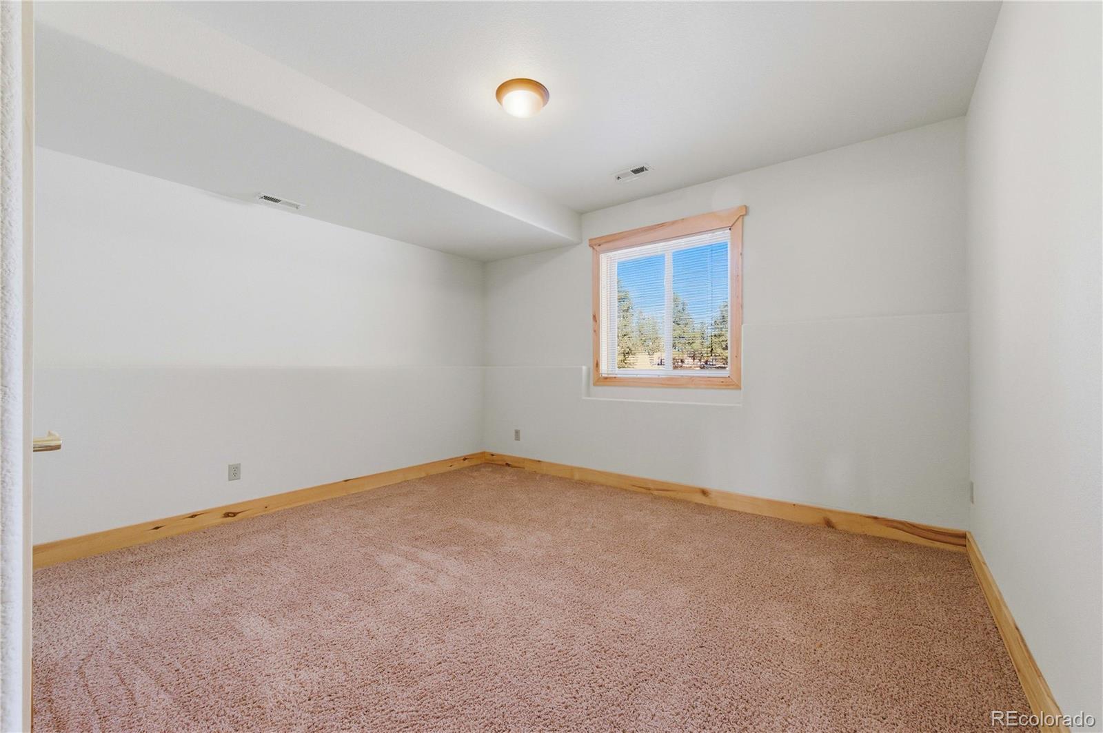 73 Big Horn Lane Florissant CO 80816