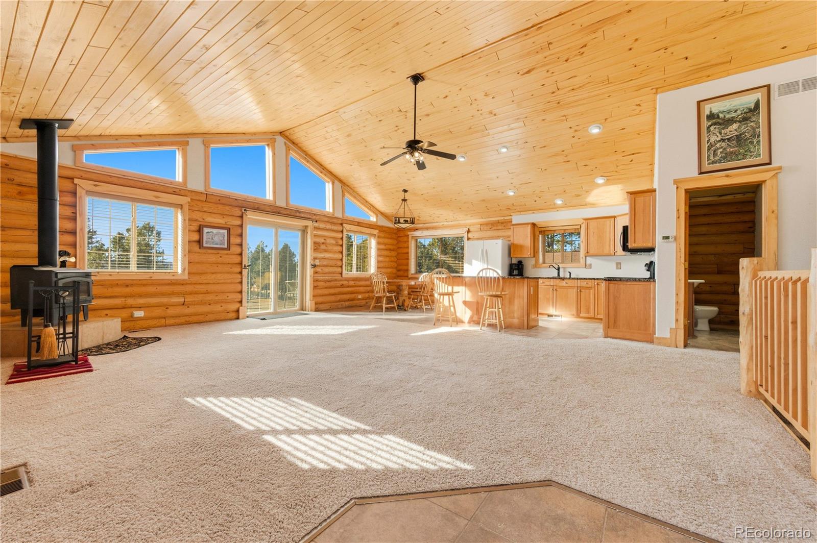 73 Big Horn Lane Florissant CO 80816