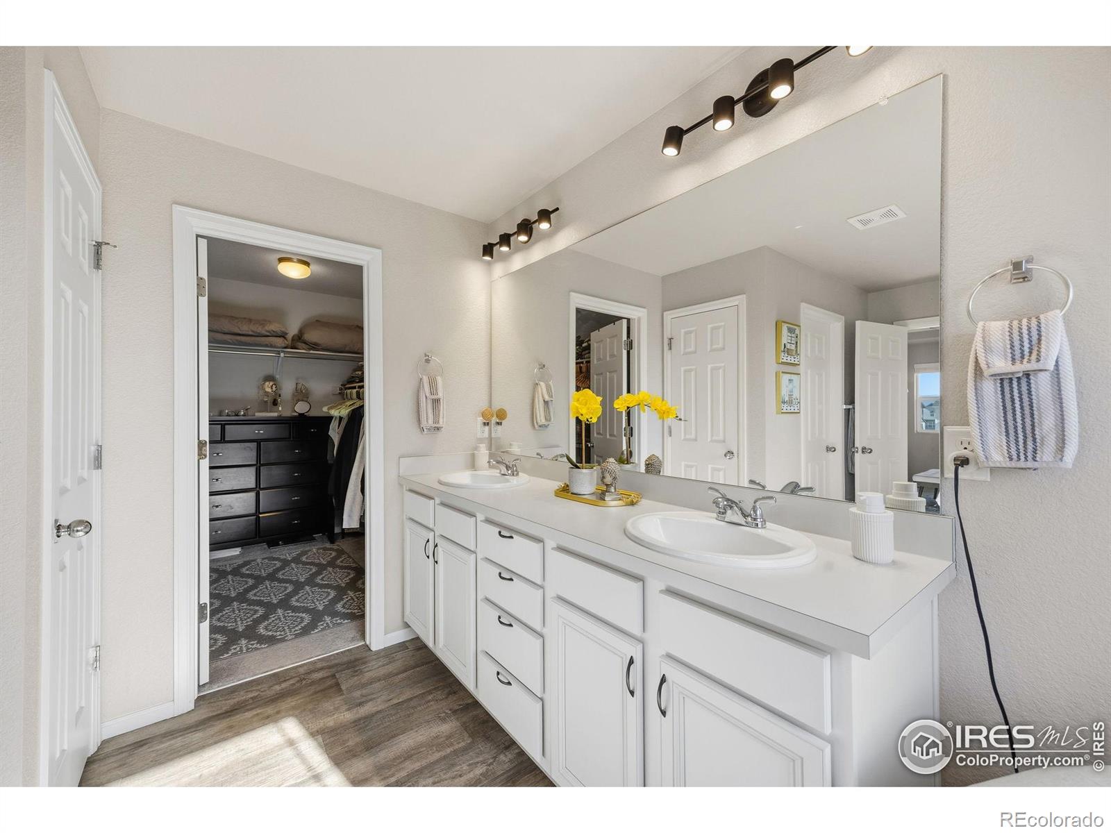 5247 Alberta Falls Street Timnath CO 80547