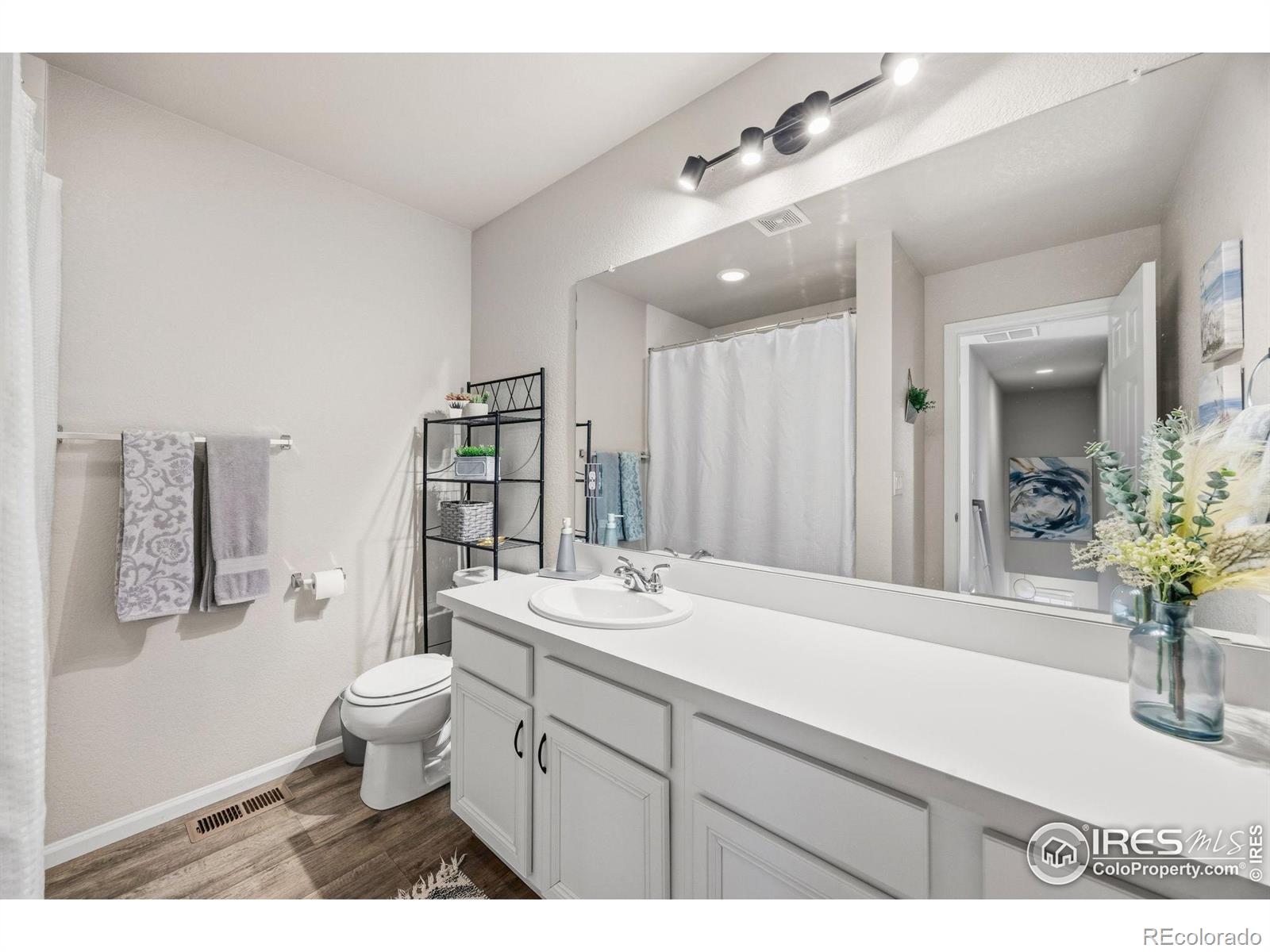 5247 Alberta Falls Street Timnath CO 80547