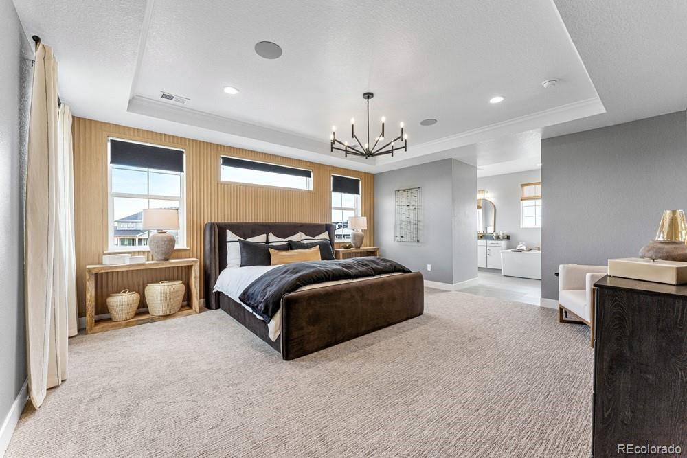 4039 Descent Street Castle Rock CO 80108