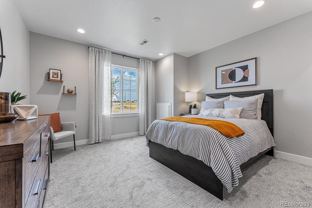 4039 Descent Street Castle Rock CO 80108