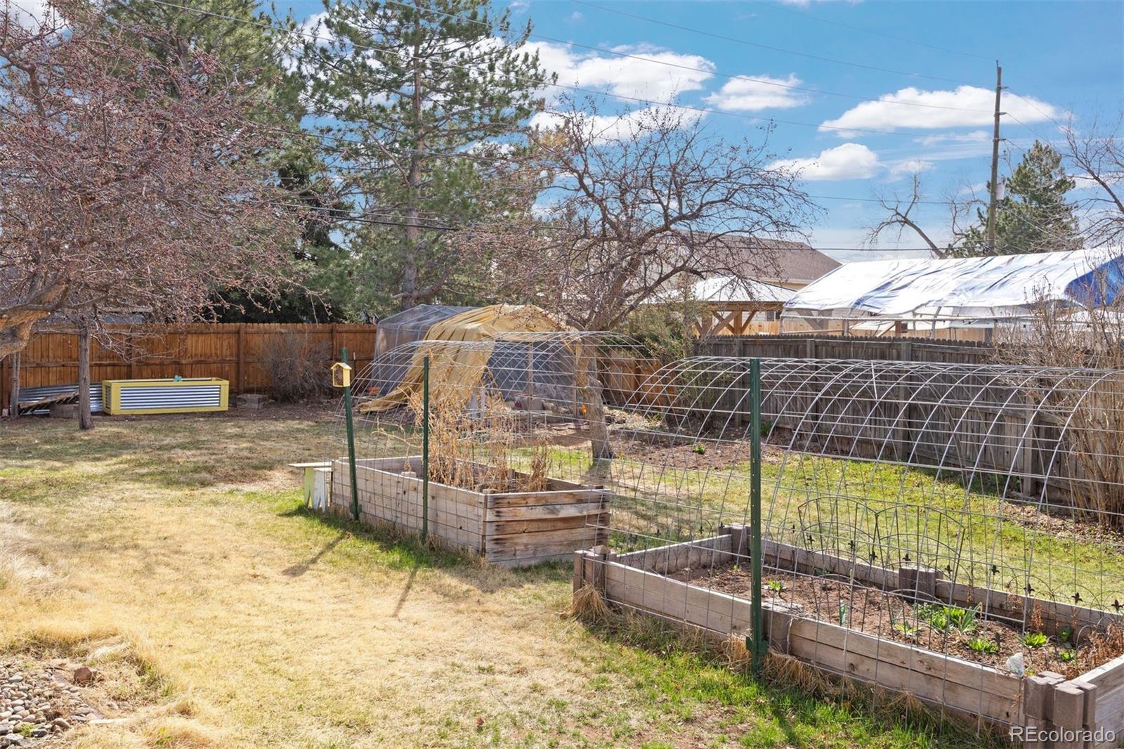 8646 S Carr Street Littleton CO 80128