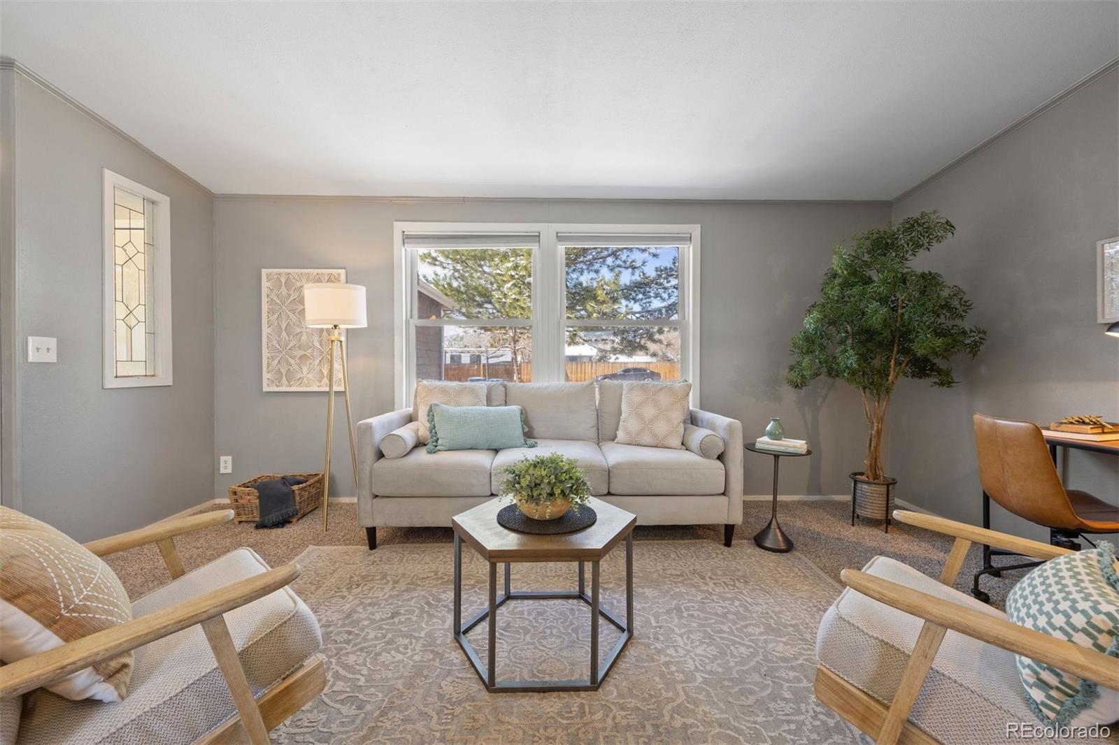8646 S Carr Street Littleton CO 80128