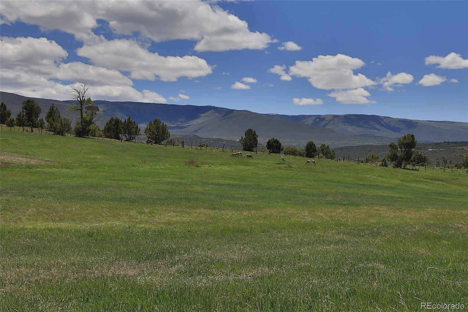 57191 Me Road Collbran CO 81624
