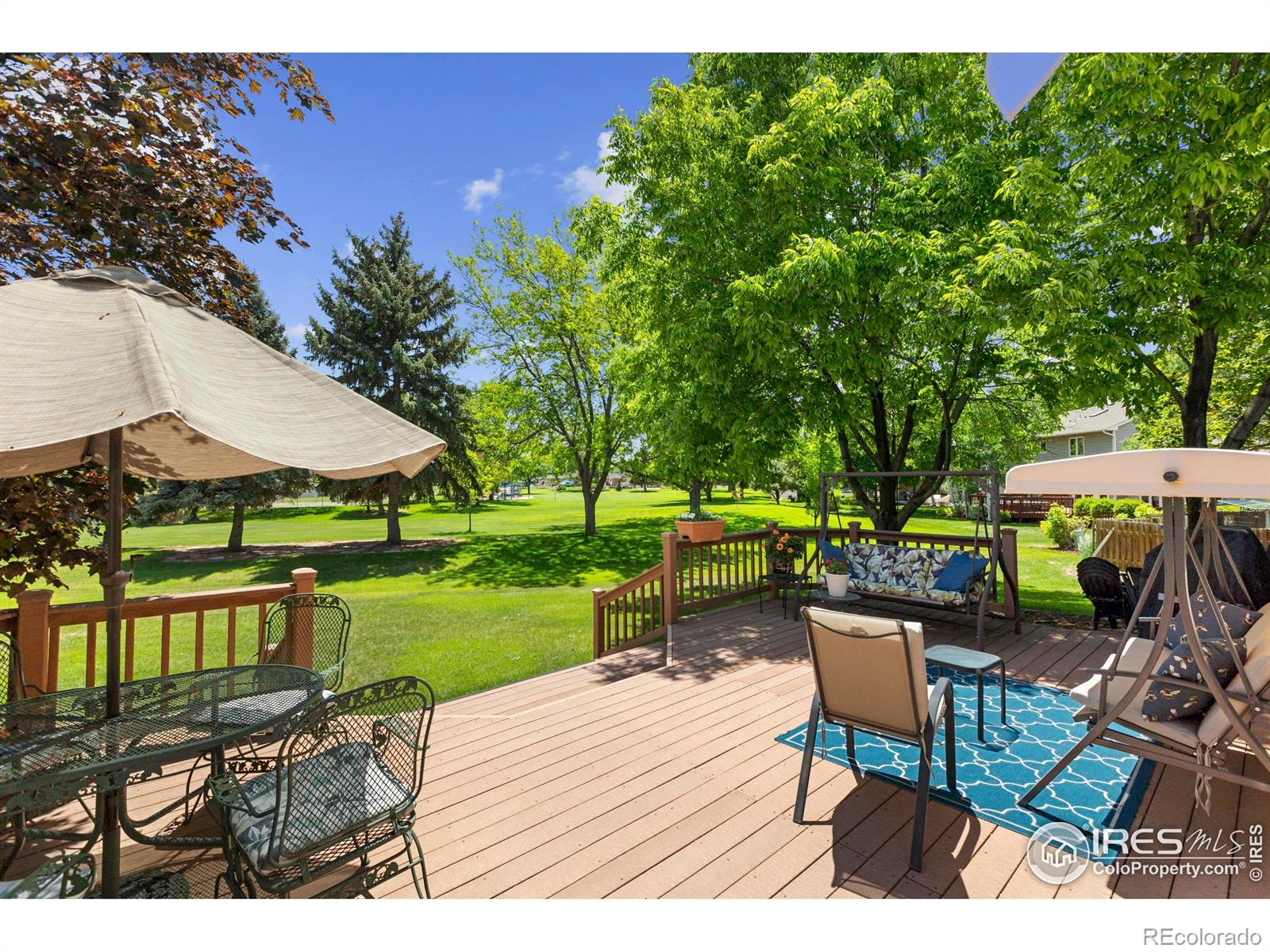 3804 Amy Place Loveland CO 80538