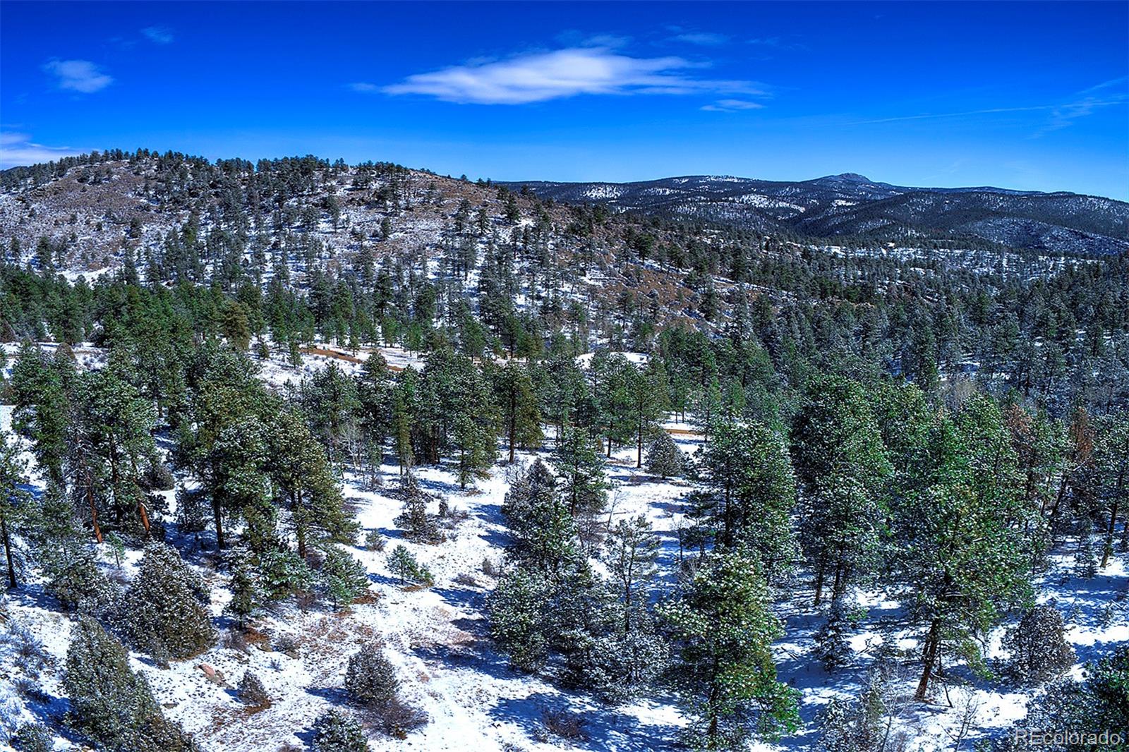 14372 Jubilee Trail Pine CO 80470