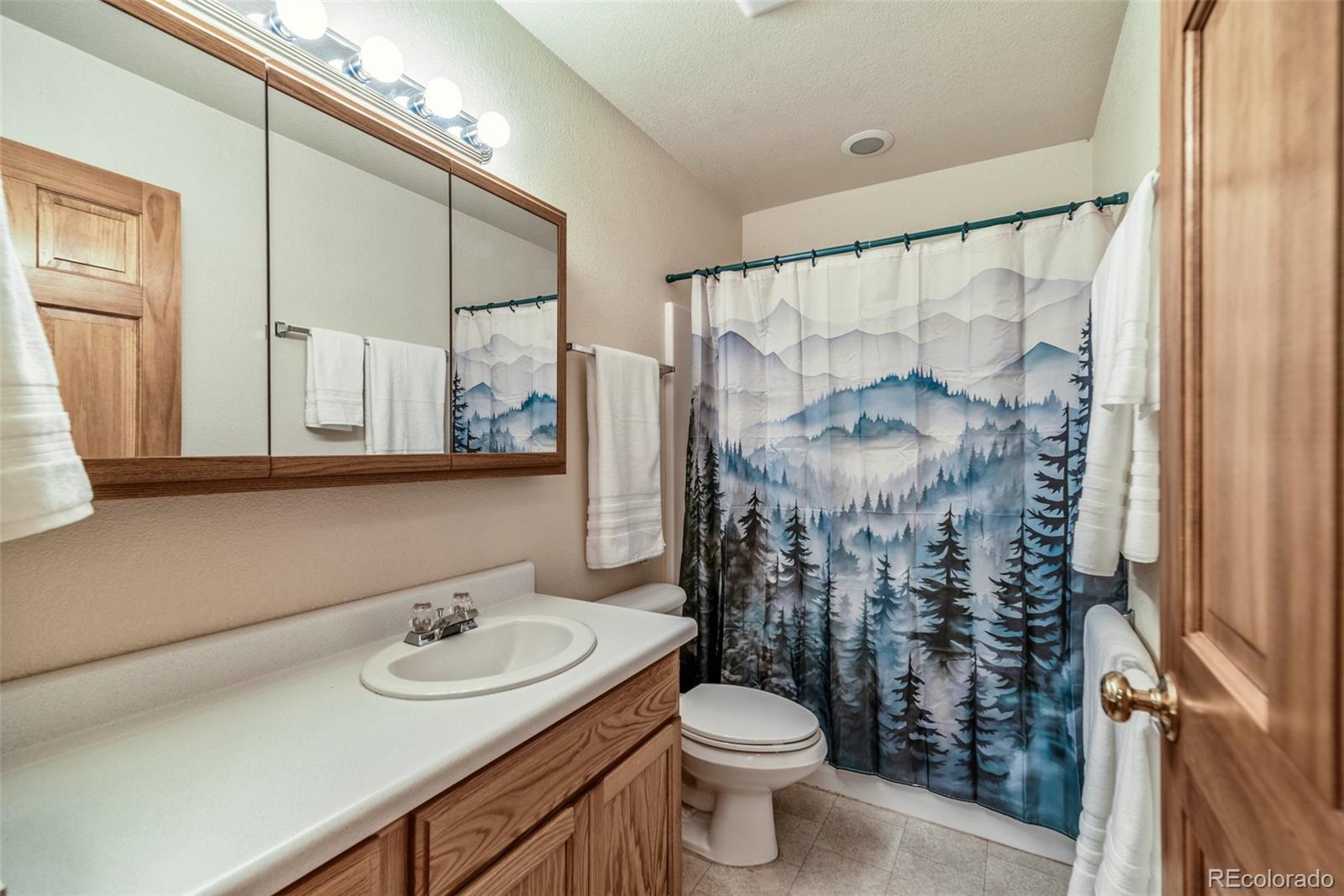 1292 Valley Of The Sun Drive Fairplay CO 80440