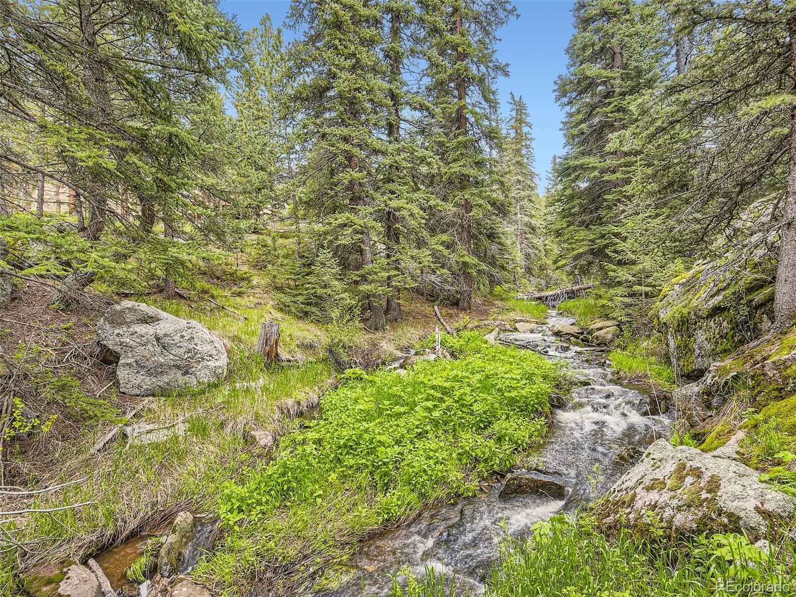 32592 Buffalo Creek Road Evergreen CO 80439