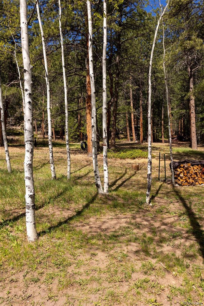 177 Cedar Drive Lyons CO 80540