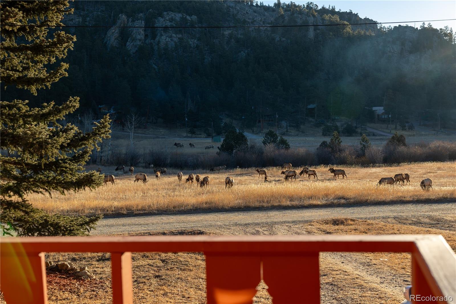 177 Cedar Drive Lyons CO 80540