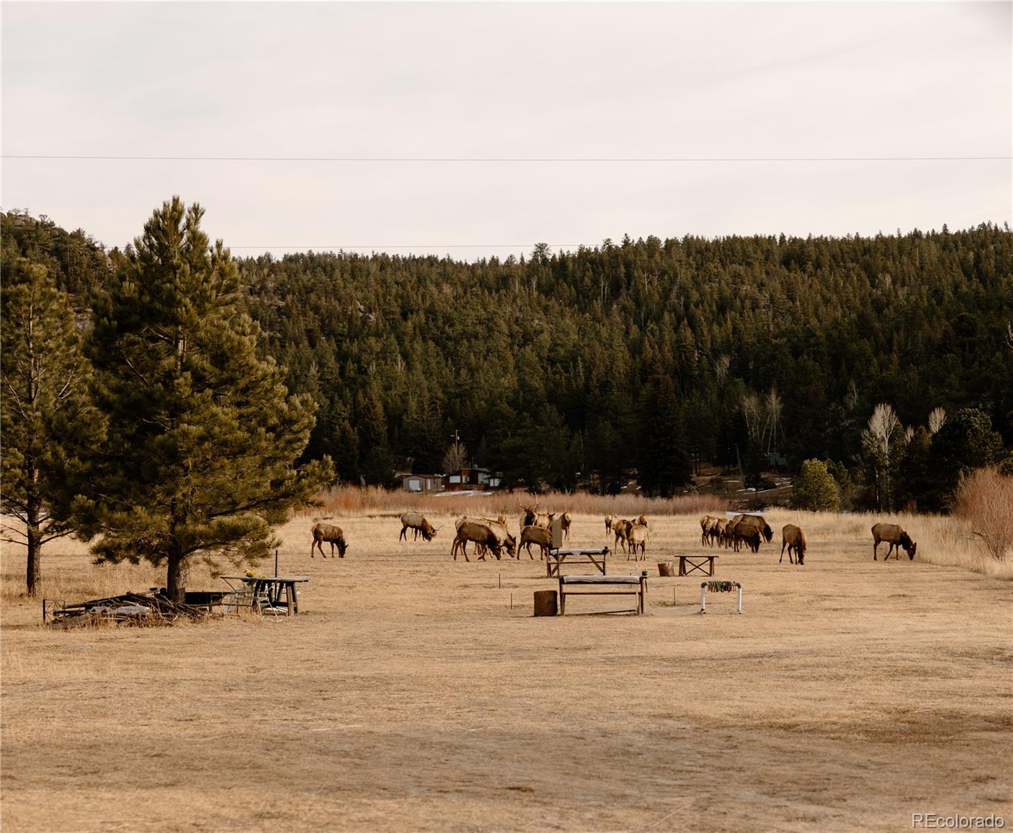 177 Cedar Drive Lyons CO 80540