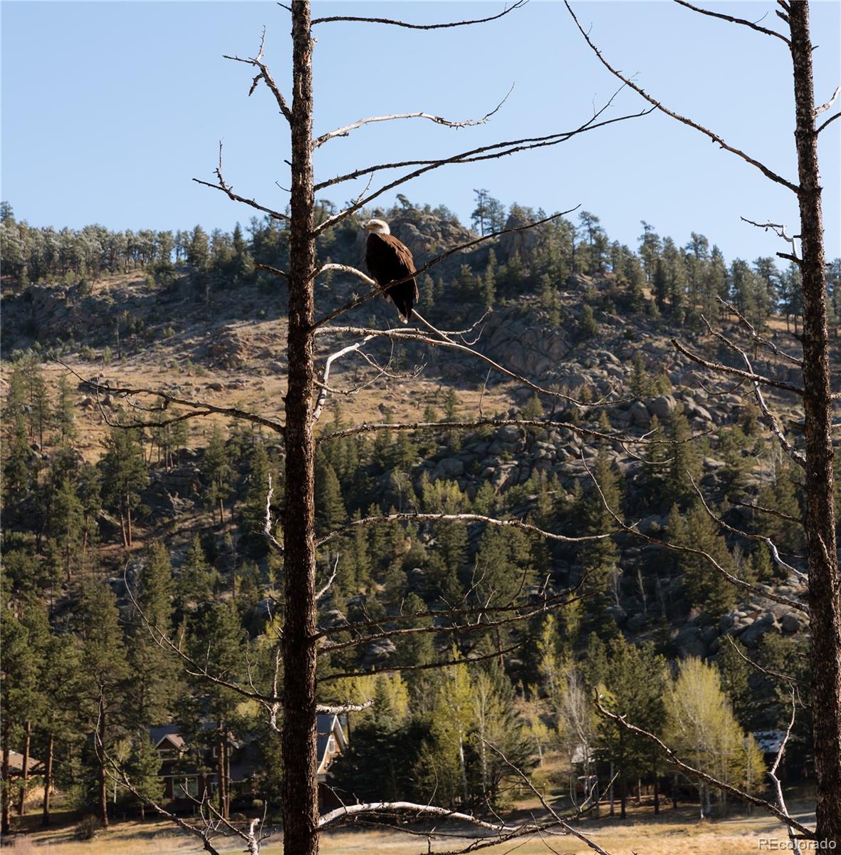 177 Cedar Drive Lyons CO 80540