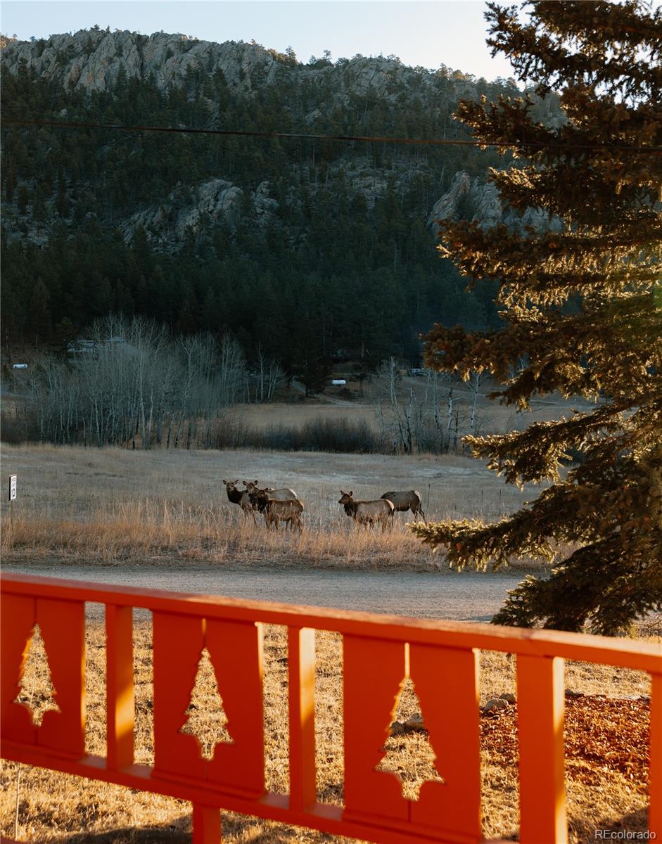 177 Cedar Drive Lyons CO 80540