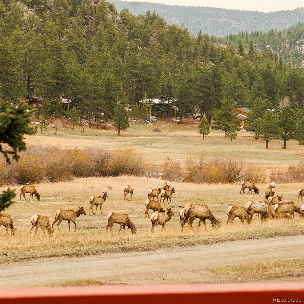 177 Cedar Drive Lyons CO 80540