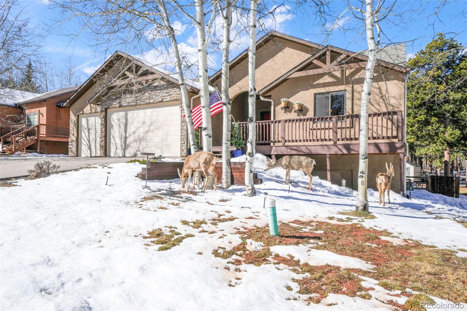 1116 Ptarmigan Drive Woodland Park CO 80863