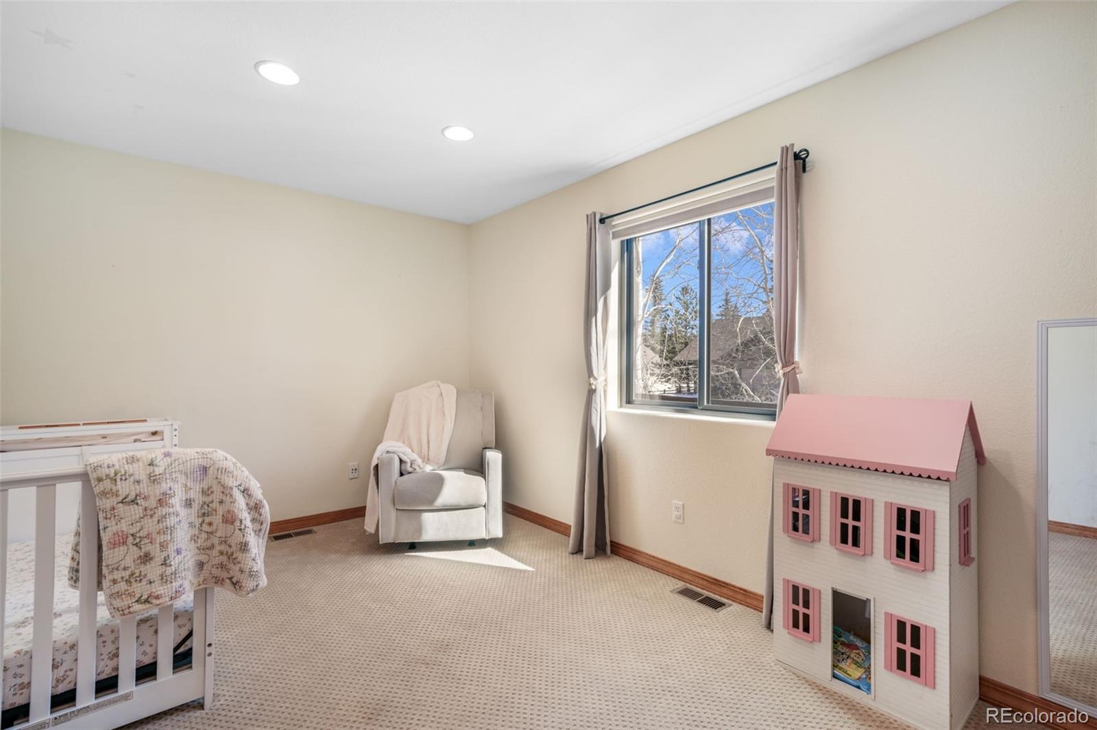 1116 Ptarmigan Drive Woodland Park CO 80863