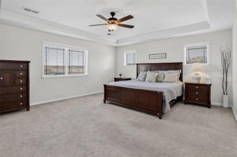1205 Bonnyton Place Castle Rock CO 80104