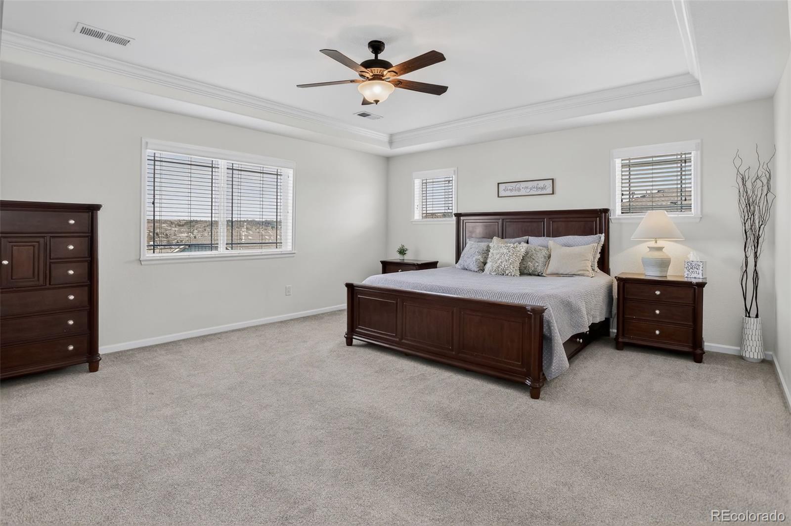 1205 Bonnyton Place Castle Rock CO 80104