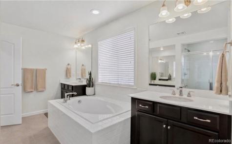 1205 Bonnyton Place Castle Rock CO 80104