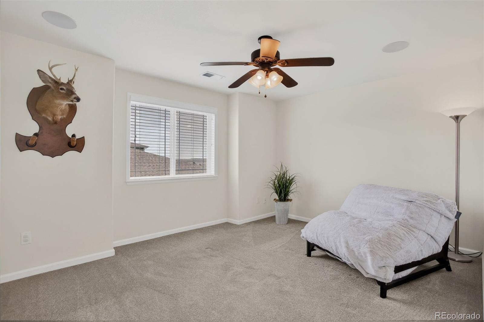 1205 Bonnyton Place Castle Rock CO 80104