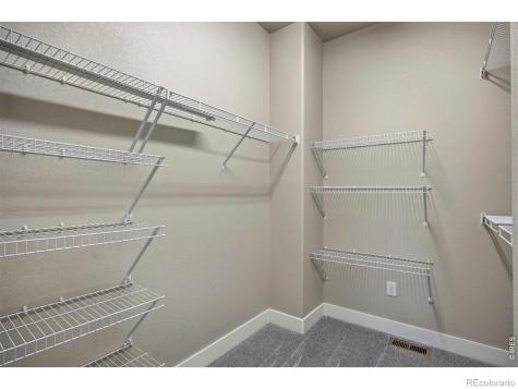 2047 Bayfront Drive Windsor CO 80550