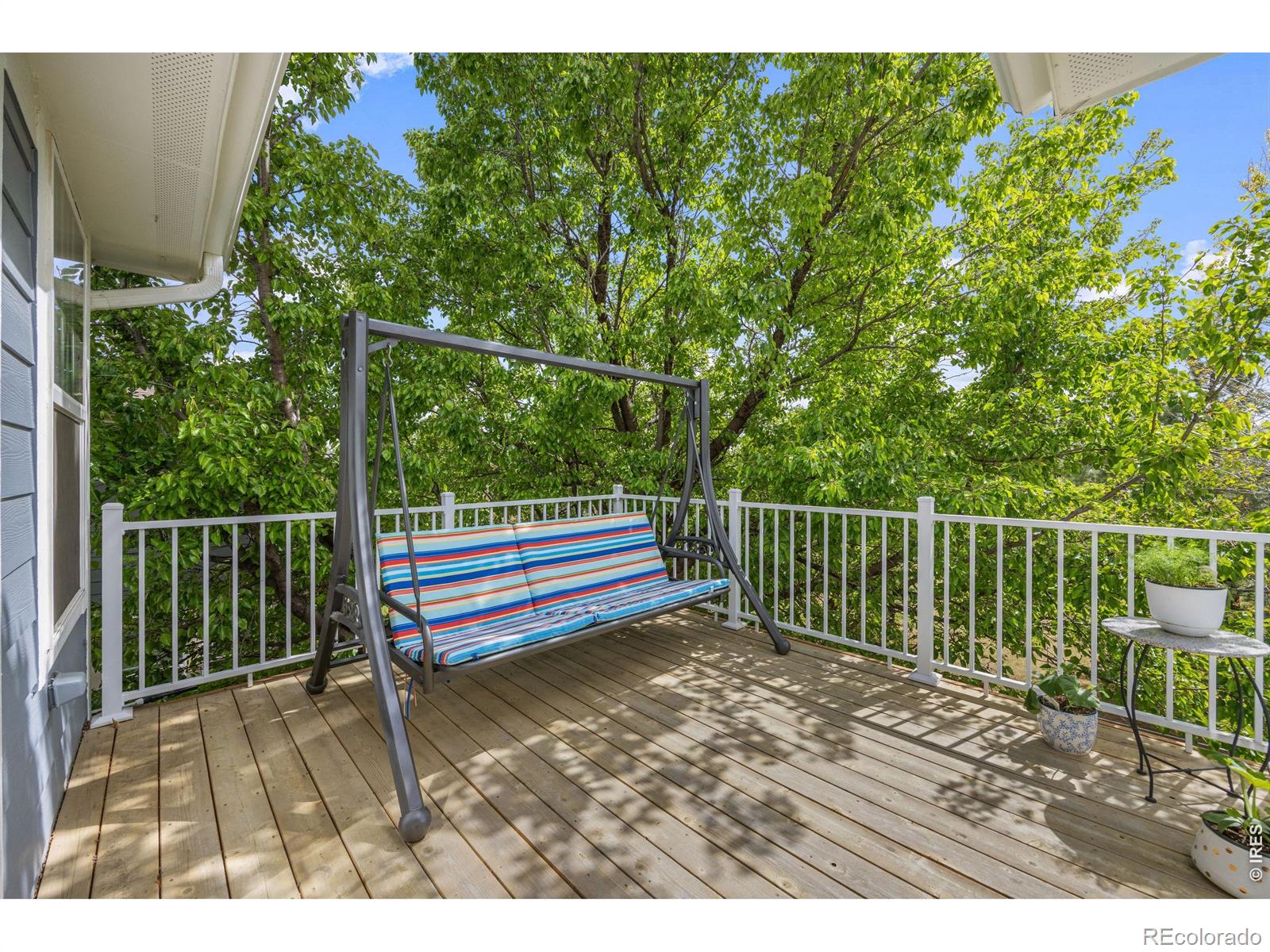 464 Mazzini Street Erie CO 80516