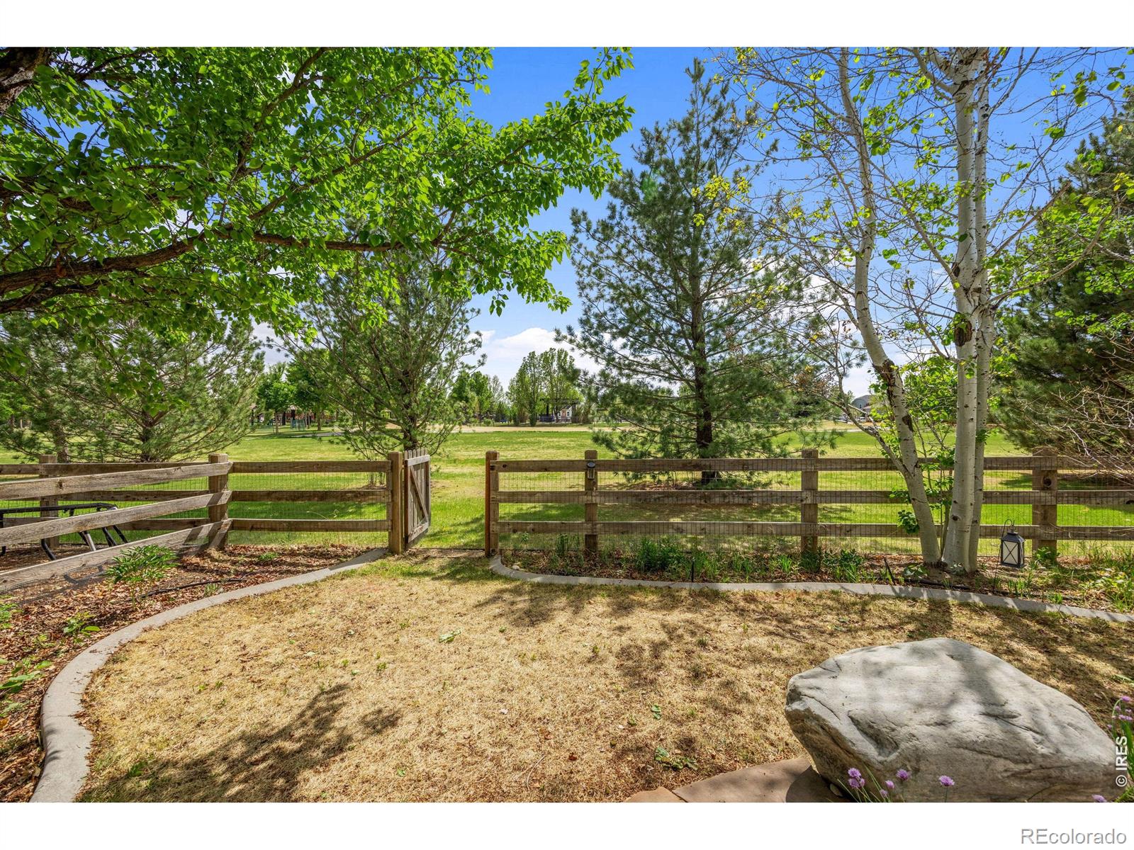 464 Mazzini Street Erie CO 80516