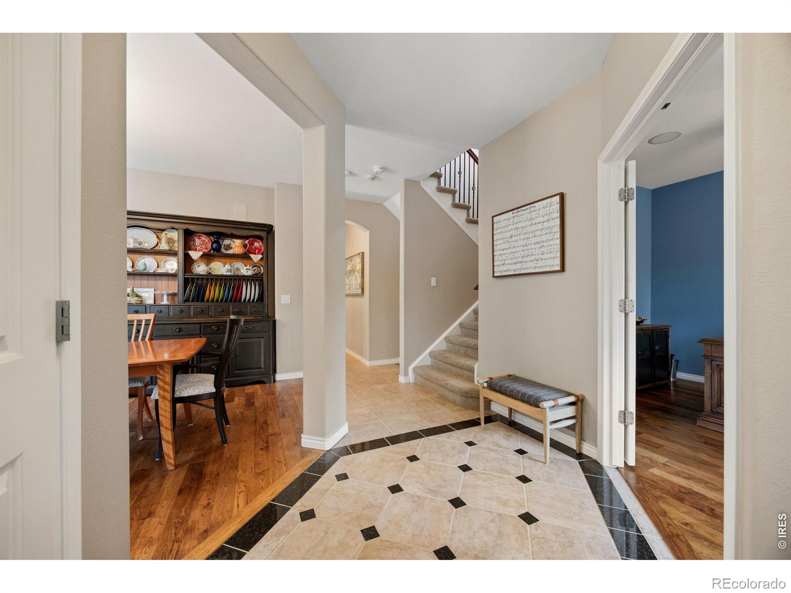 464 Mazzini Street Erie CO 80516