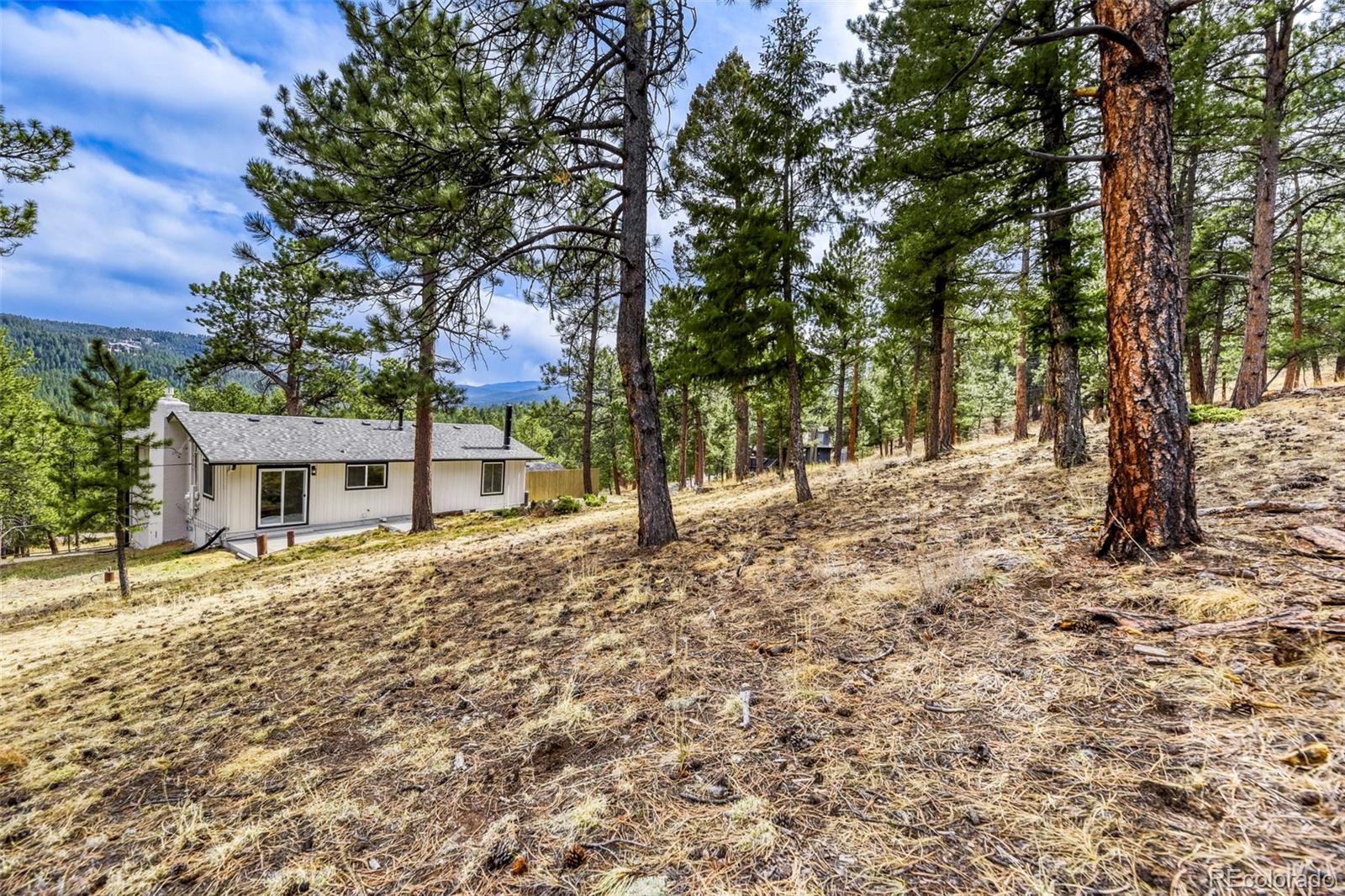 30171 Marge Lane Evergreen CO 80439